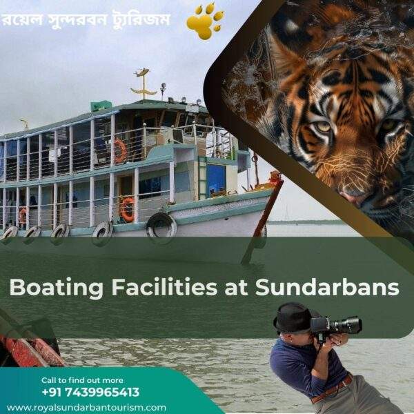 Great Exploring Boating Facilities At Sundarbans A Comprehensive