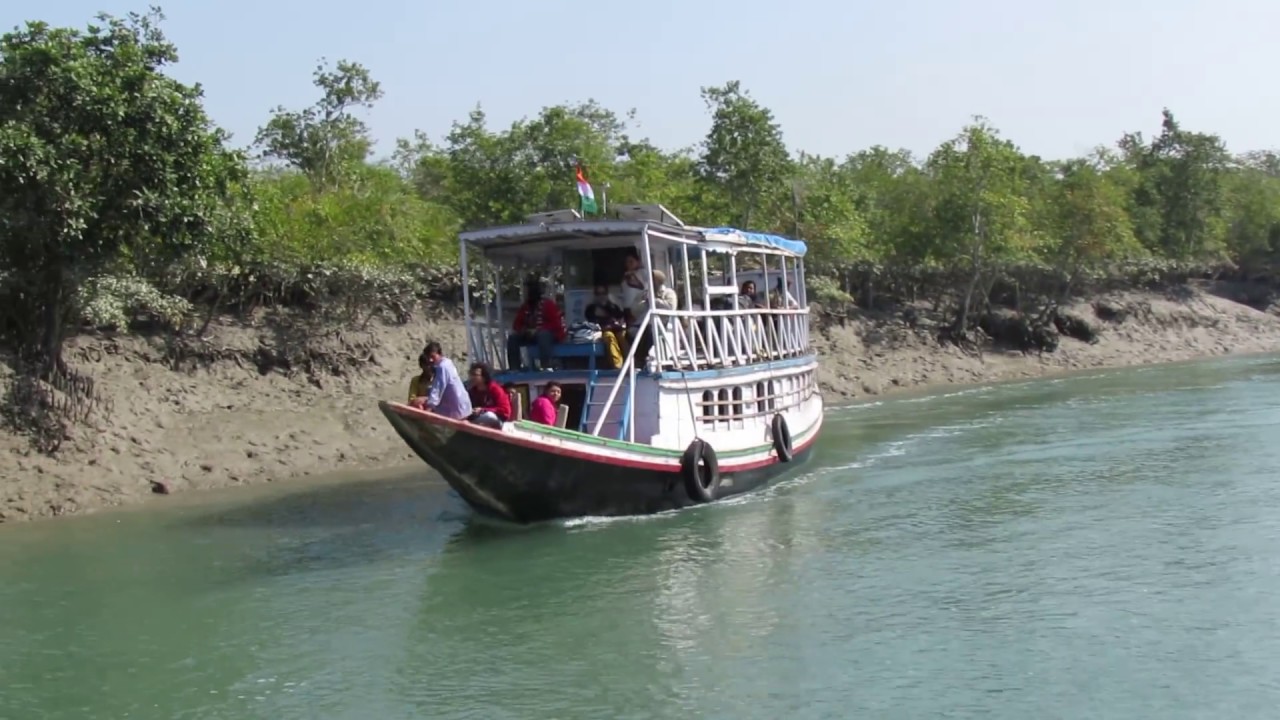 What is the best time for visiting Sundarban? 6 Sundarban Tourism