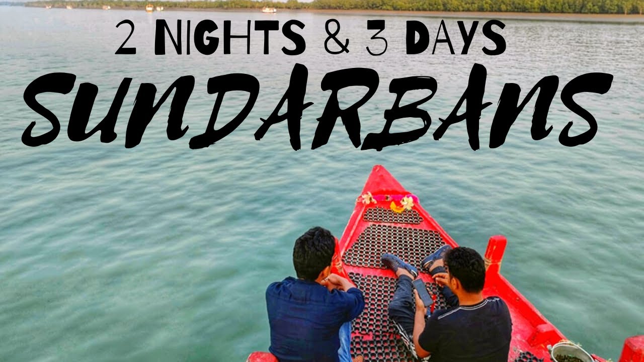 Choosing the Perfect Sanctuary: Where to Stay in Sunderbans 2 Sundarban Tourism