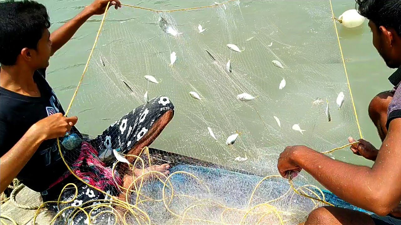 Sundarban Tourism