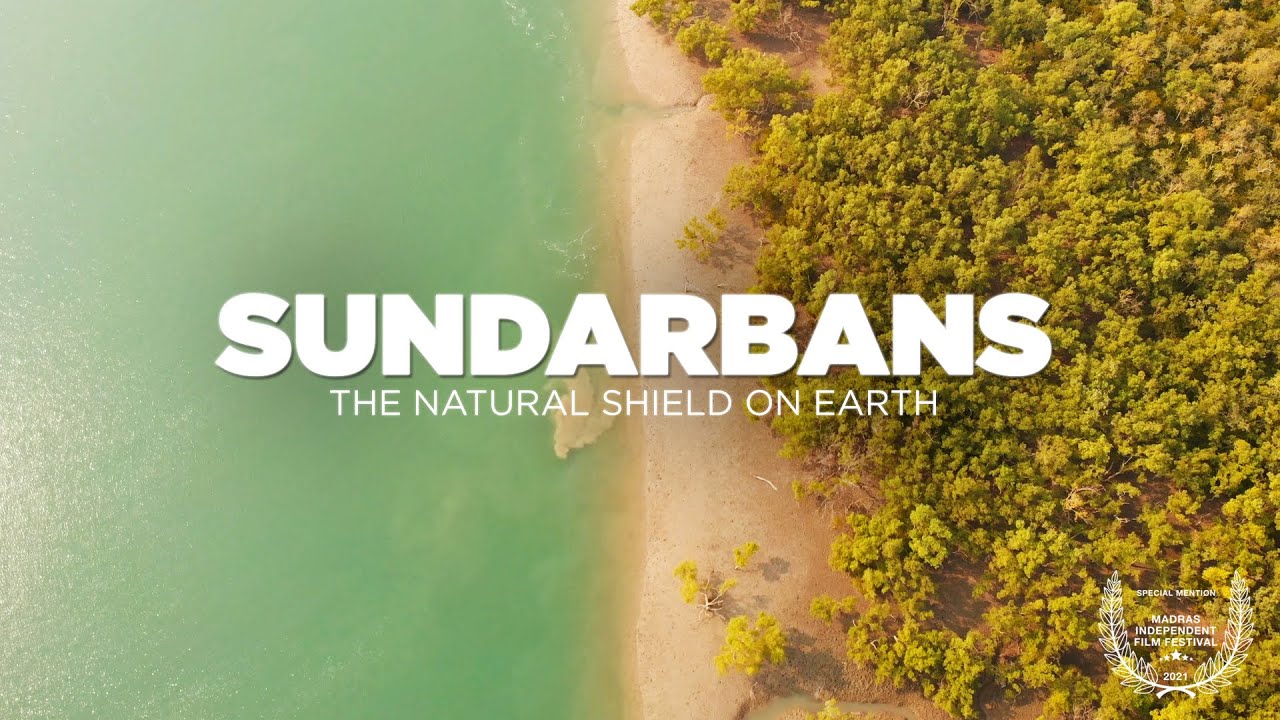 Sundarban Tourism