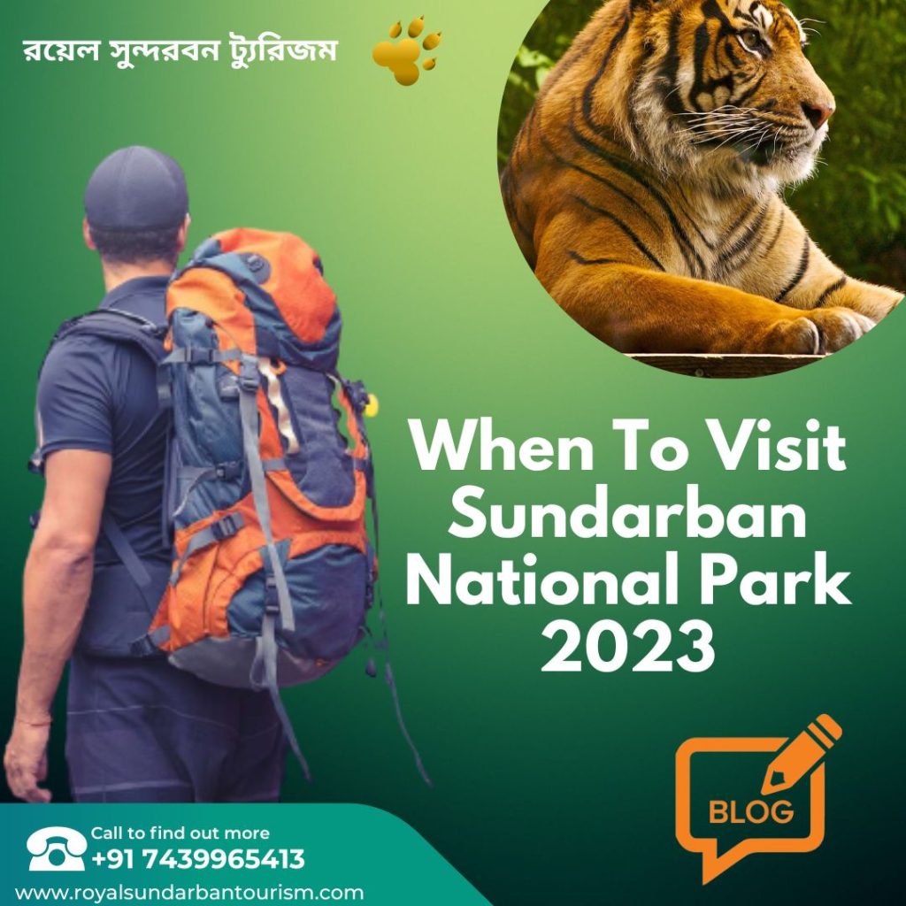 When To Visit Sundarban National Park