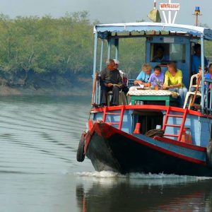 Sundarbans boat tour