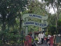 Sundarbans Wild Tourism