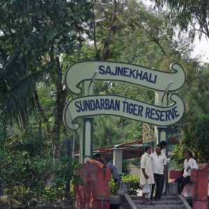 Sundarbans Wild Tourism