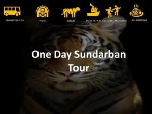 One Day Sundarban Tour
