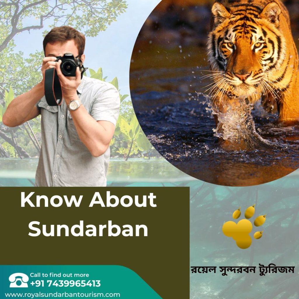 Know About Sundarban