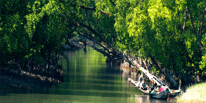 Sundarbans Tourist Places