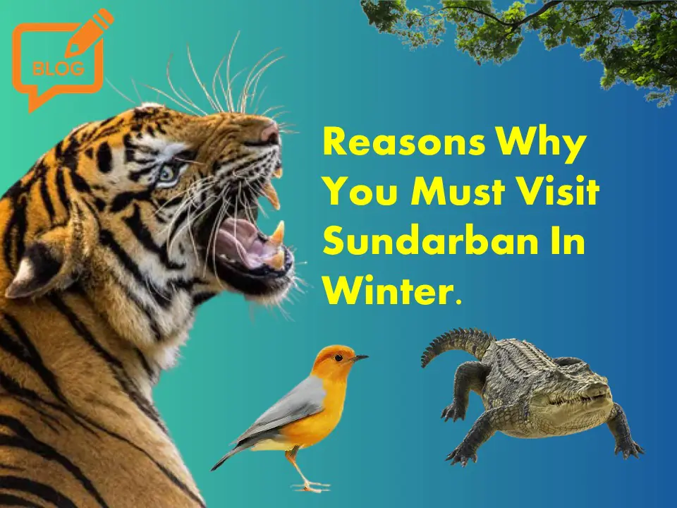 Visit Sundarban