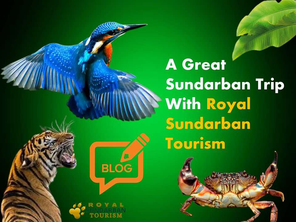 A Great Sundarban Trip With Royal Sundarban Tourism