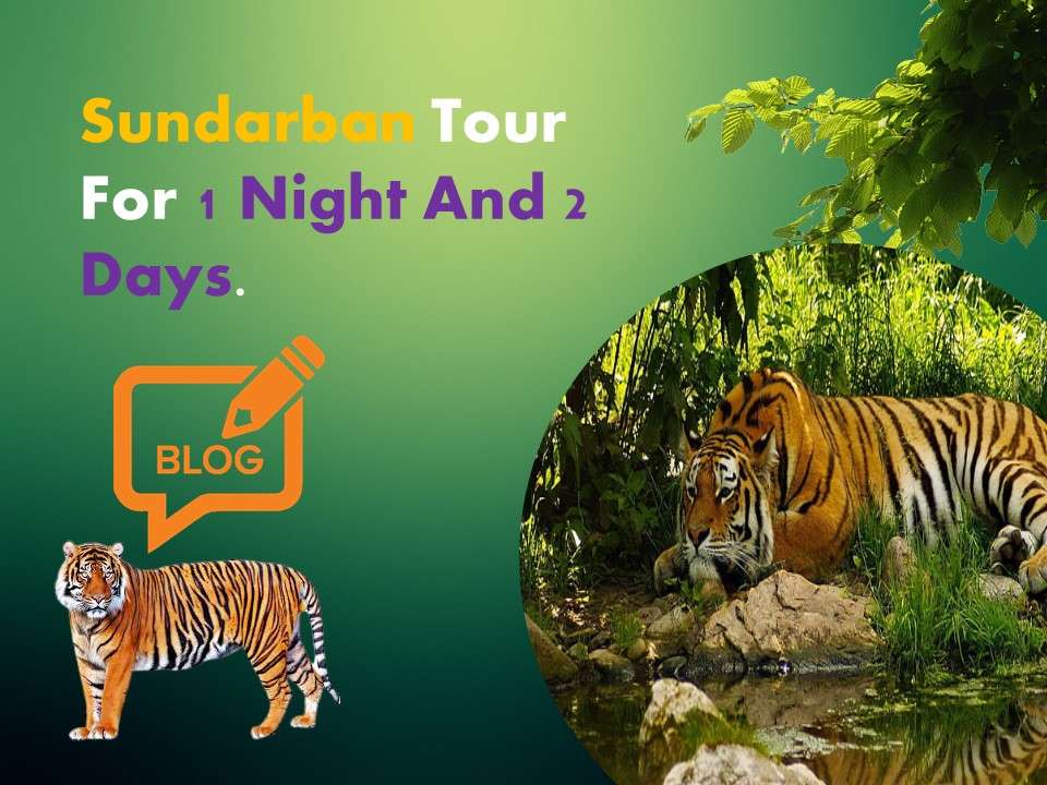 Sundarban Tour For 1 Night And 2 Days