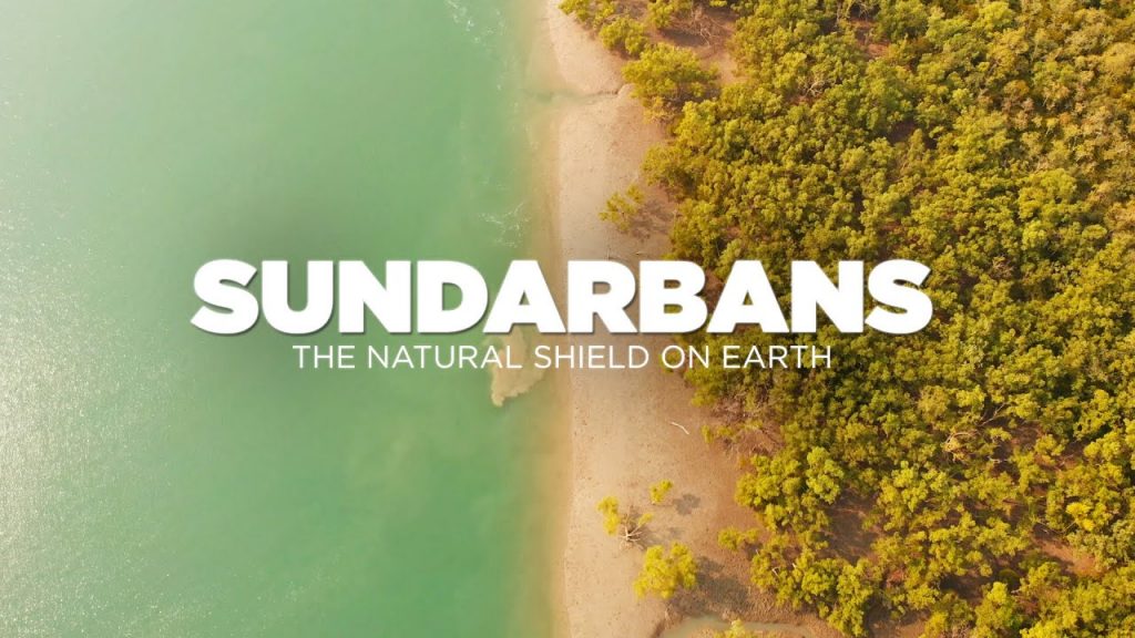 Sundarban Tourism