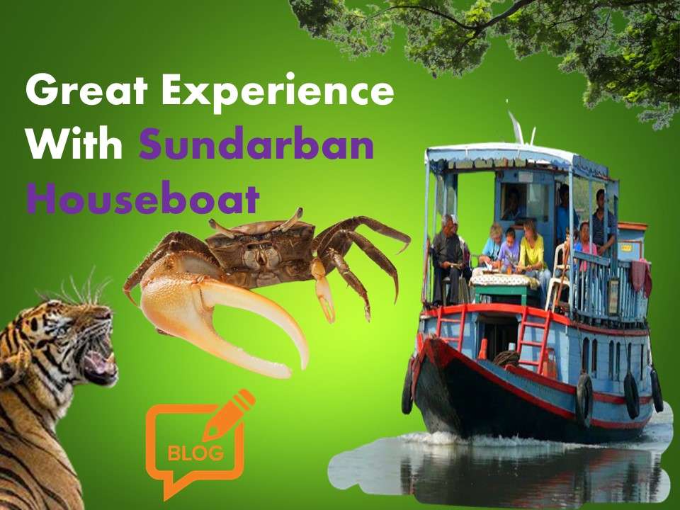 Great Experience With Sundarban Houseboat