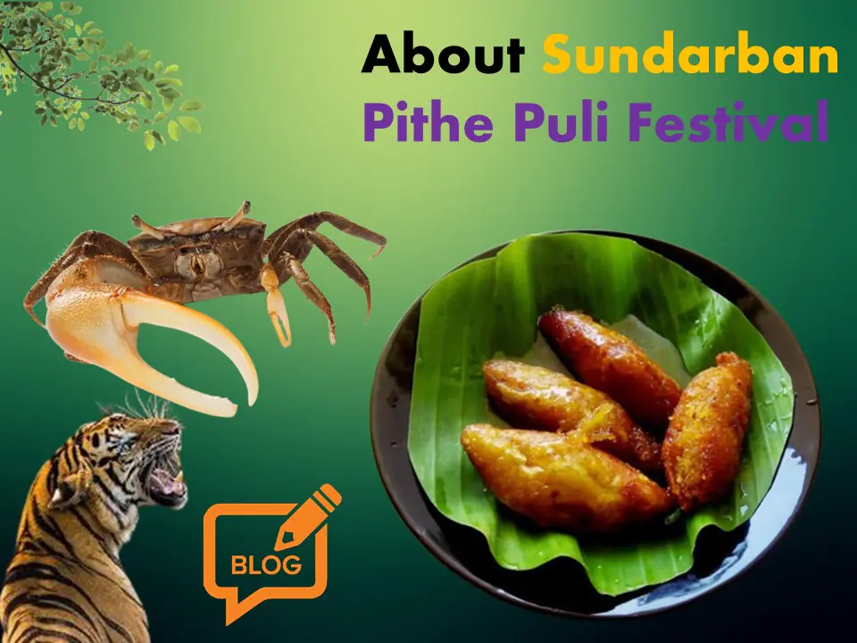 Sundarban Pithe Puli Festival