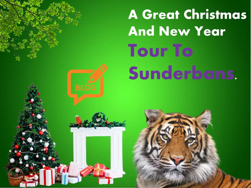 Tour To Sunderbans