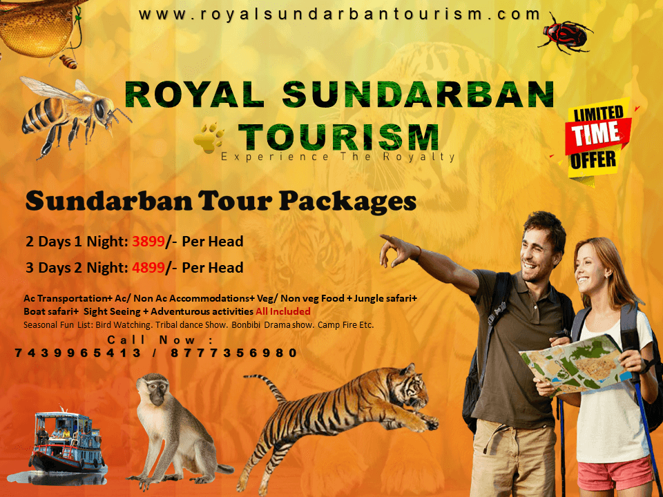 sundarban tour packages (14)