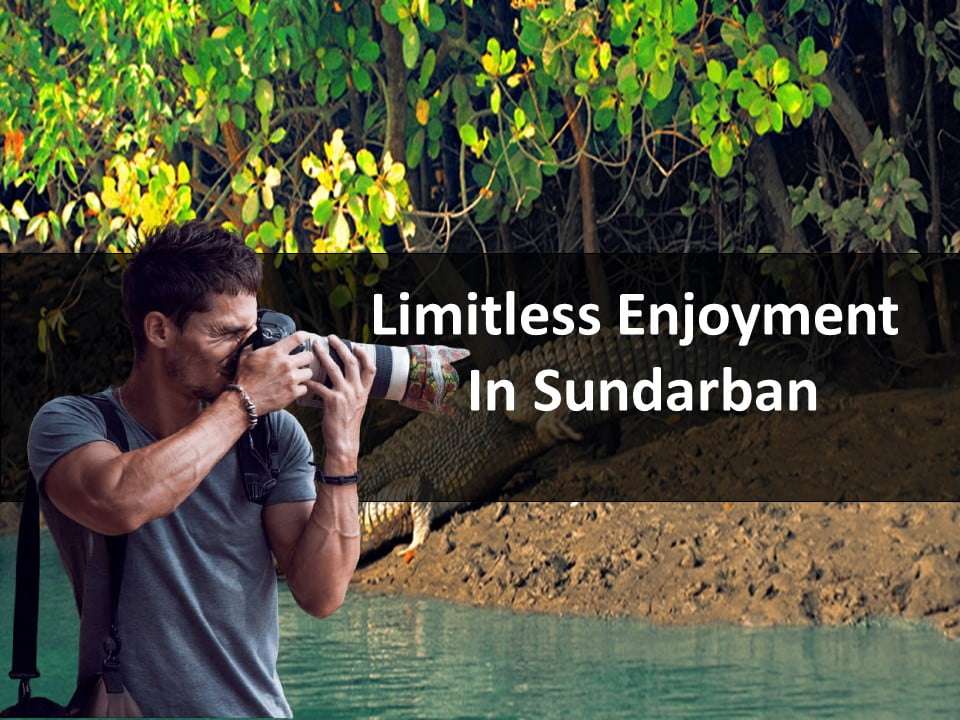 Limitless Enjoyment  In Sundarban