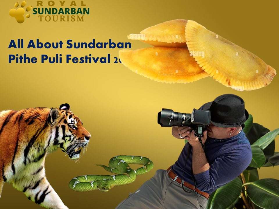 All About Sundarban Pithe Puli Festival
