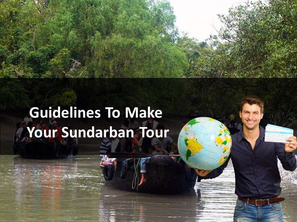Guidelines To Make Your Sundarban Tour