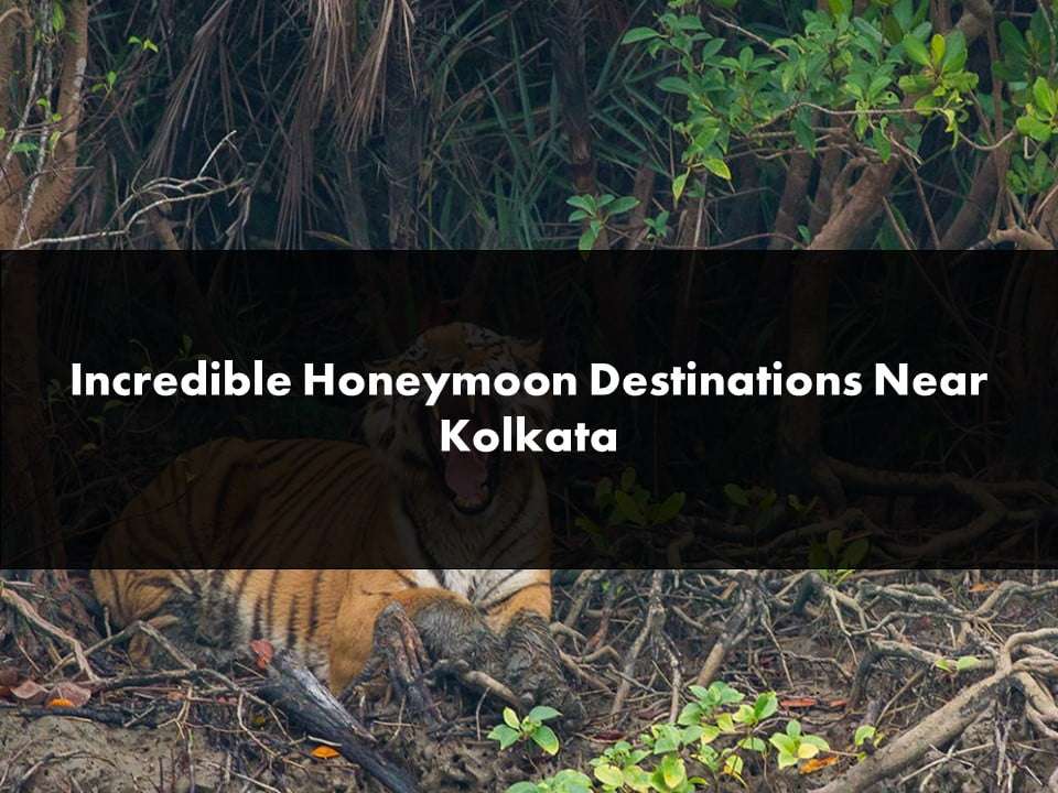 Incredible Honeymoon Destinations Near Kolkata