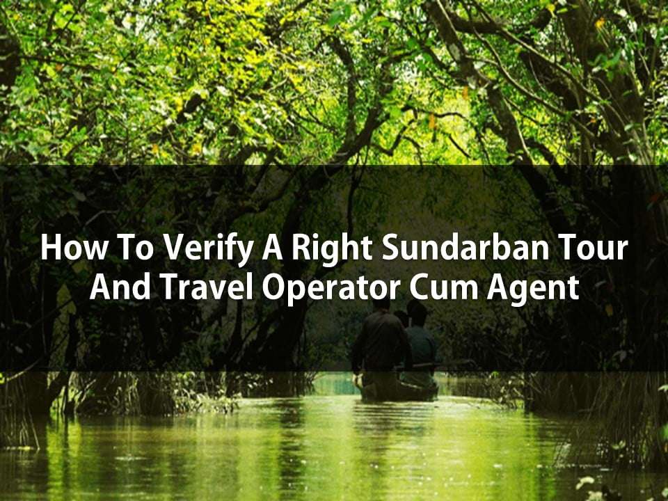 Sundarban Tour And Travel Operator