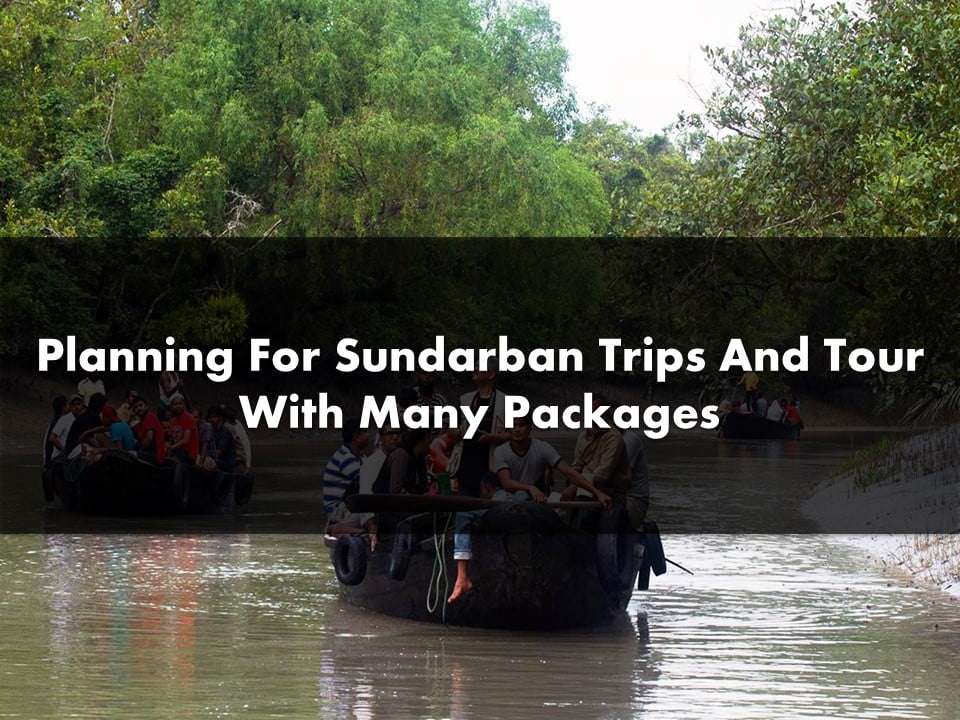 Sundarban Trips And Tour