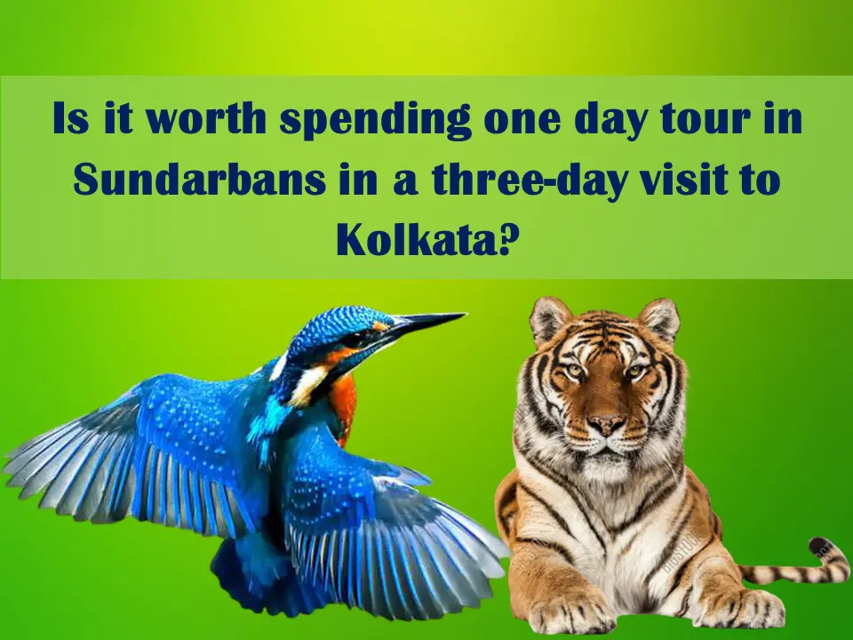 Is it worth spending one day tour in Sundarbans in a three-day visit to Kolkata