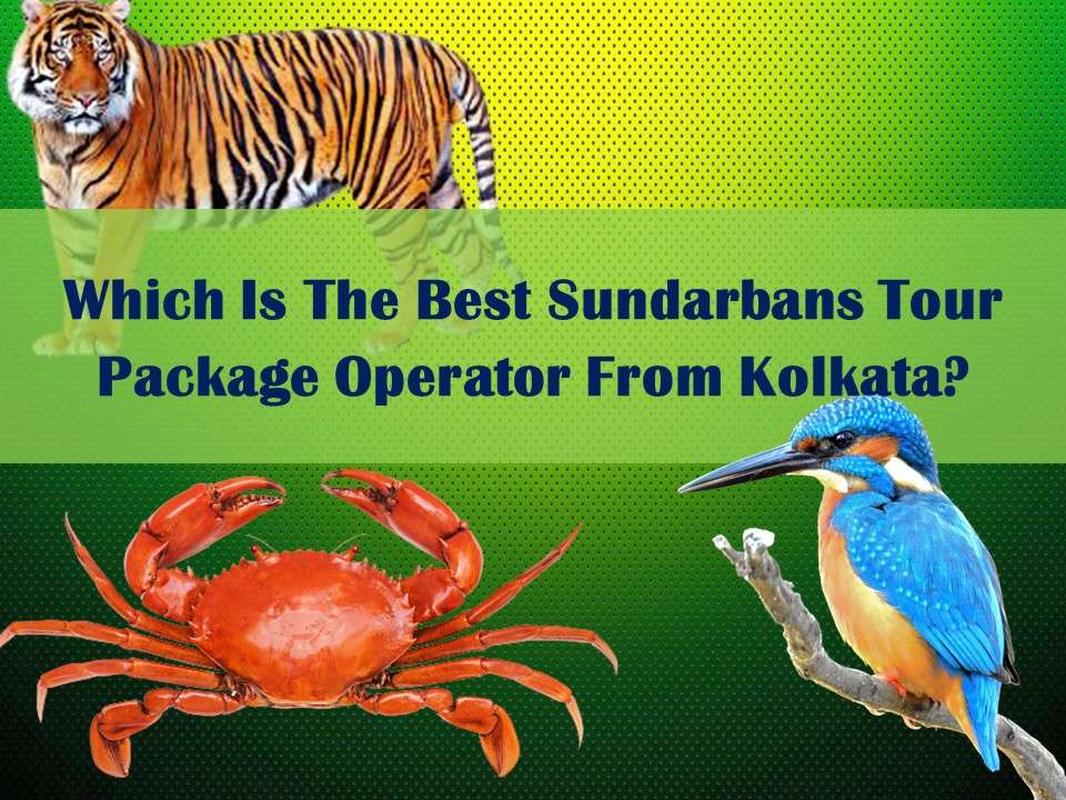 Which Is The Best Sundarbans Tour Package Operator From Kolkata