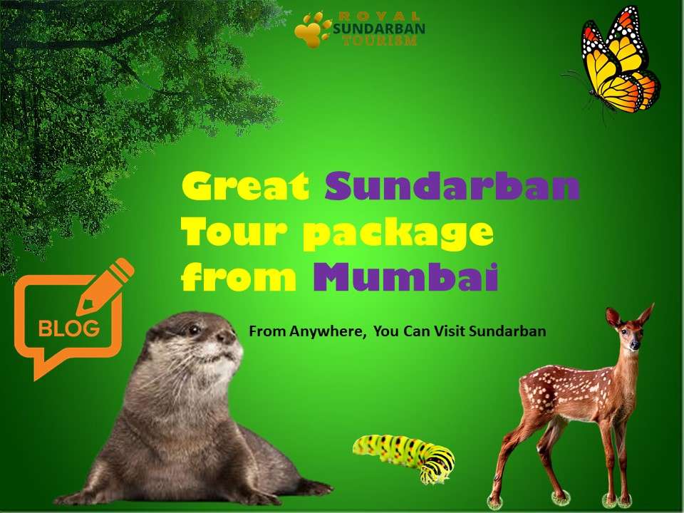 Sundarban Tour package from Mumbai