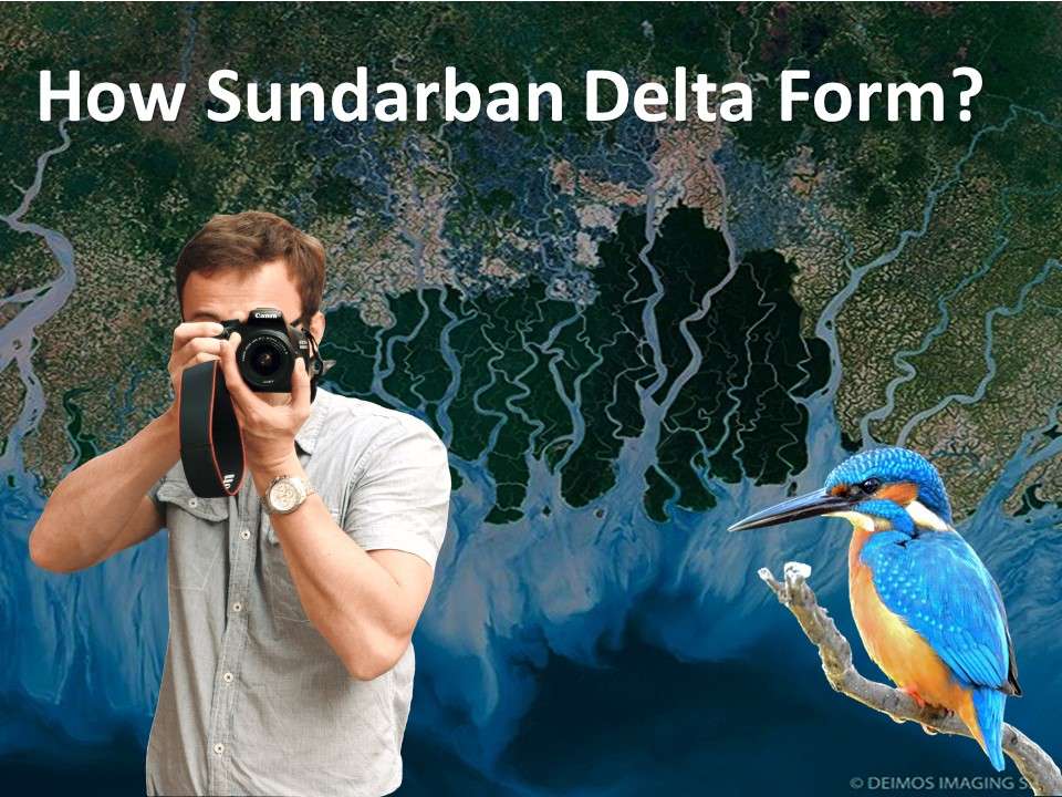 How Sundarban Delta Form
