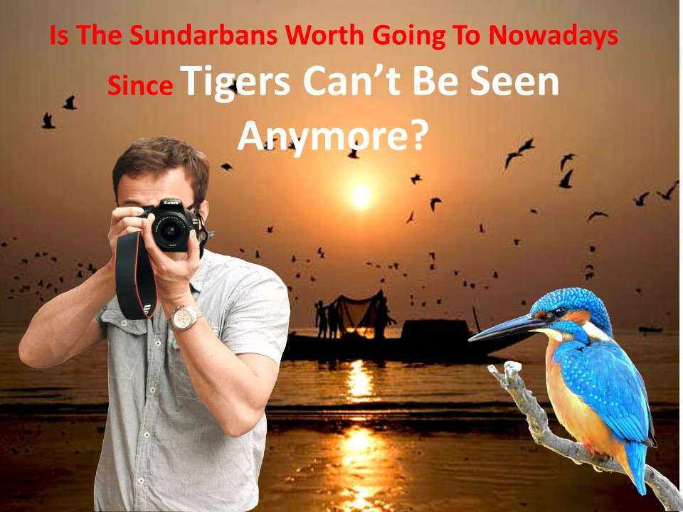 Is The Sundarbans Worth Going
