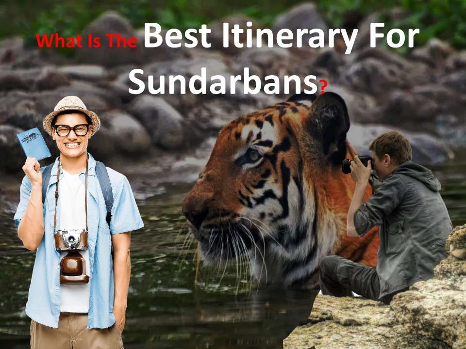 best itinerary for Sundarban