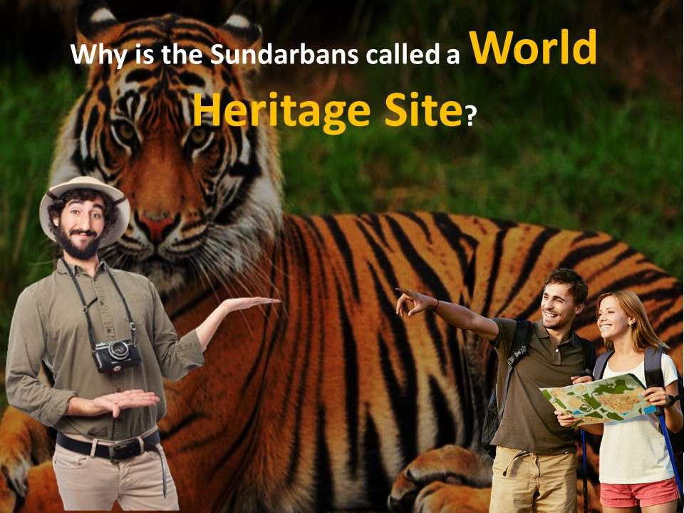 Why is the Sundarbans called a World Heritage Site
