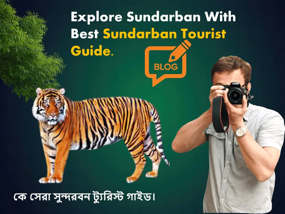 Explore Sundarban With Best Sundarban Tourist Guide