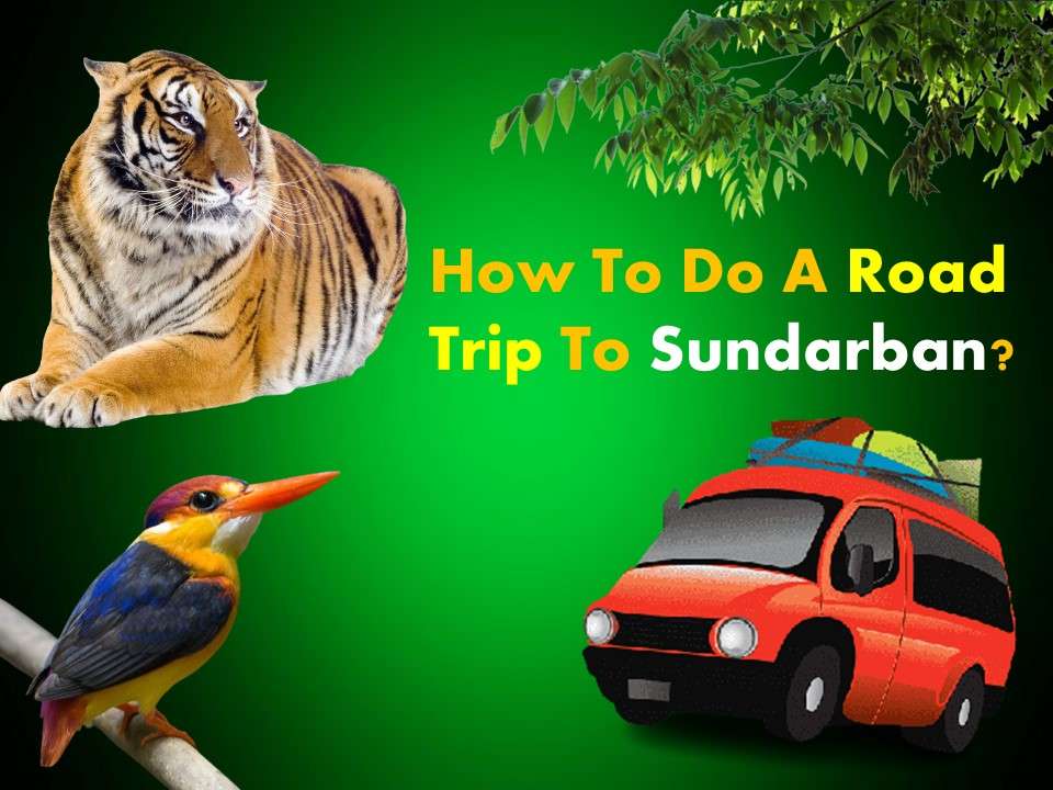 How To Do A Road Trip To Sundarban