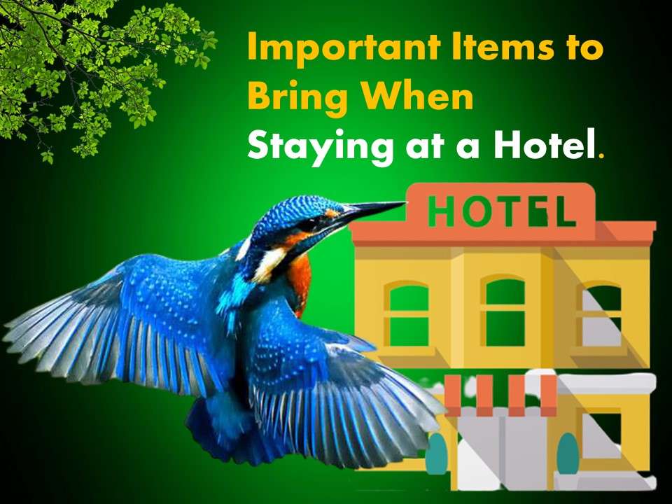 Important Items to Bring When Staying at a Hotel