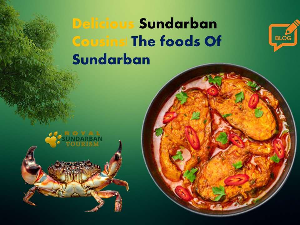 The foods Of Sundarban