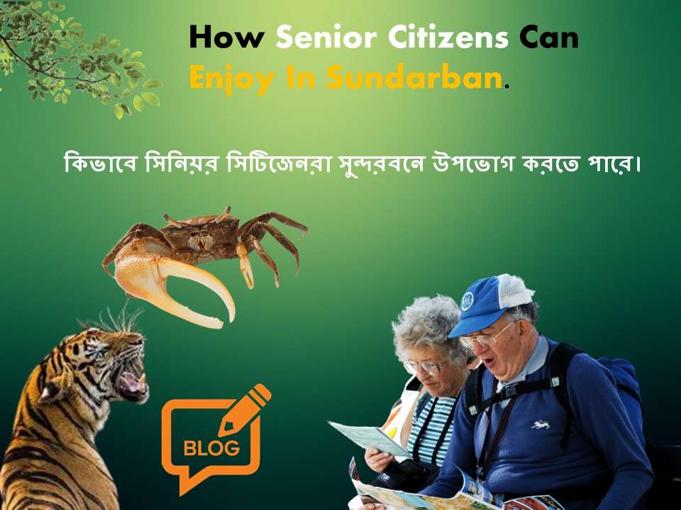 How Senior Citizens Can Enjoy In Sundarban