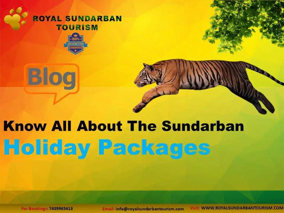 Know All About The Sundarban Holiday Packages
