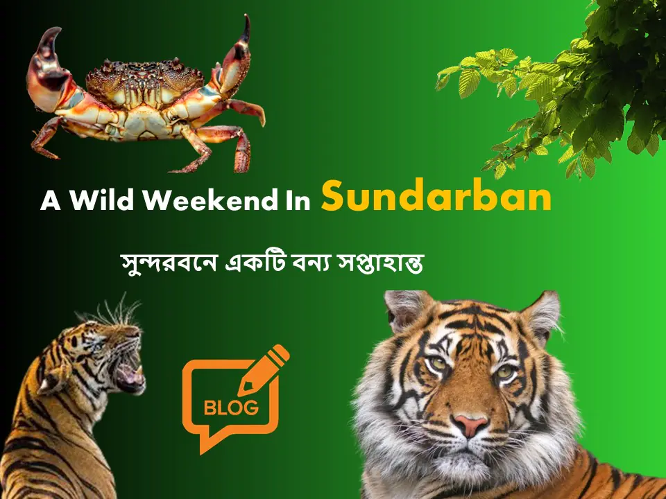A Wild Weekend In Sundarban