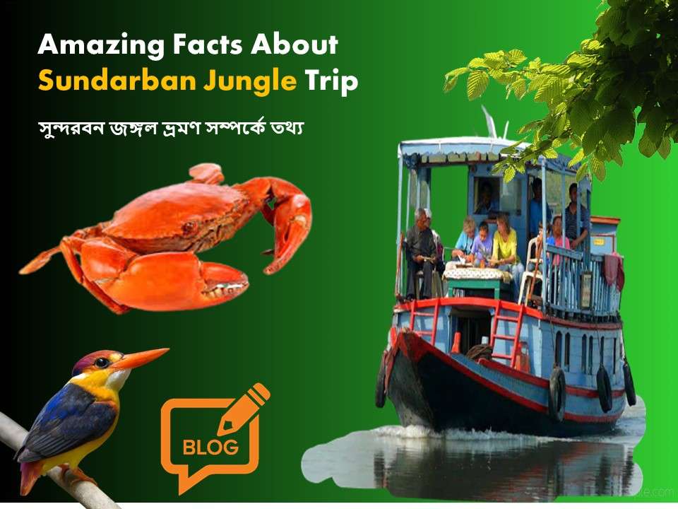 Amazing Facts About Sundarban Jungle Trip