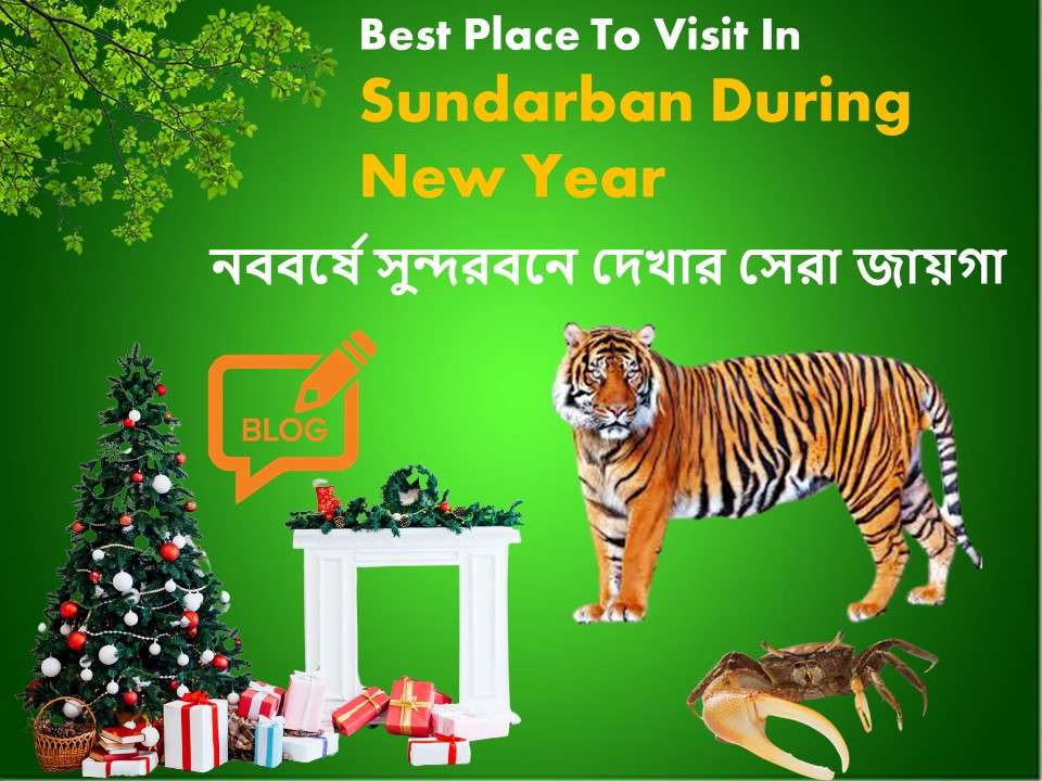 Best Place To Visit In Sundarban During New Year