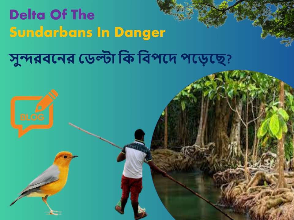 Delta Of The Sundarbans In Danger