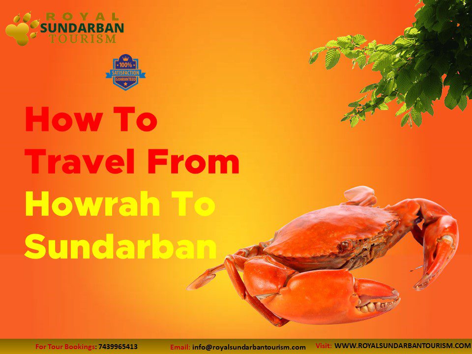 How To Travel From Howrah To Sundarban