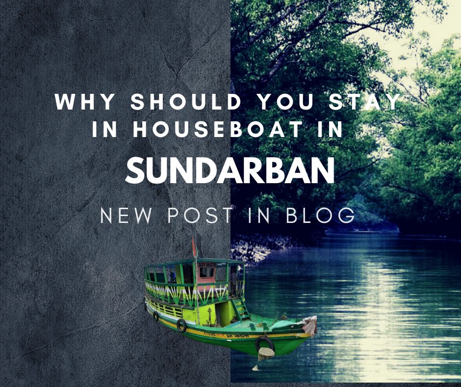 Stay In Houseboat In Sundarban