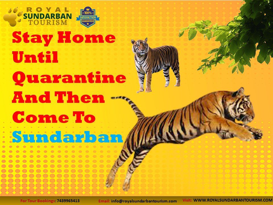 Come To Sundarban After Quarantine.