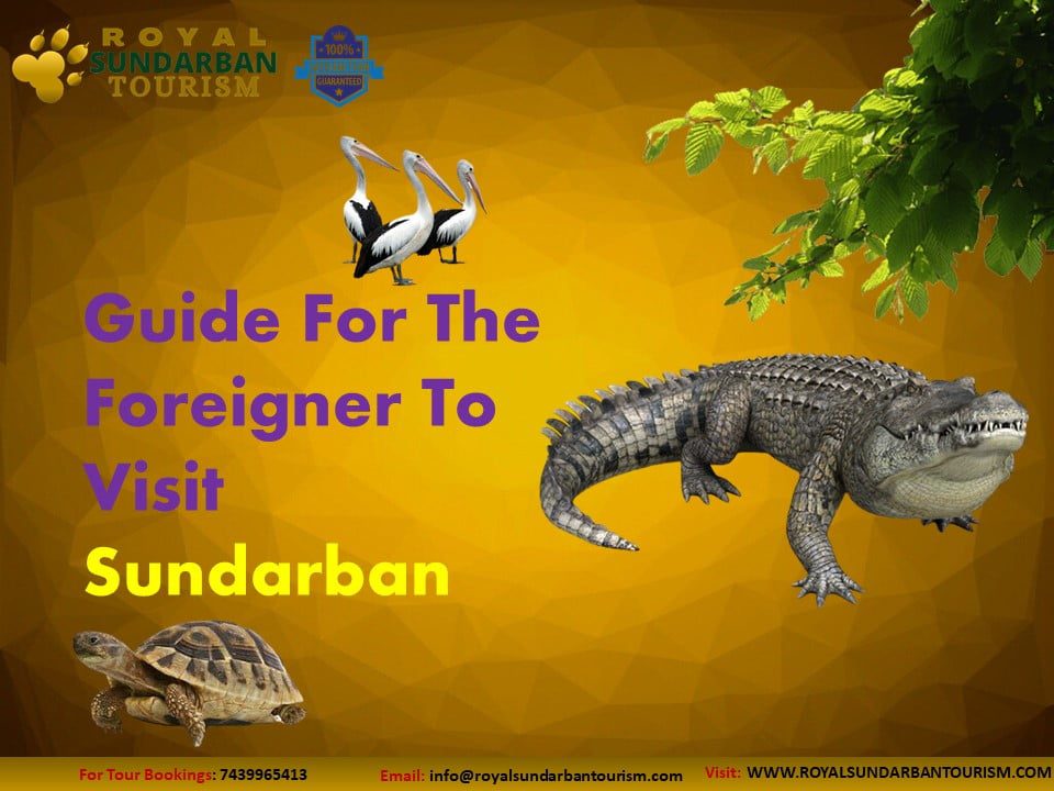 Foreigner To Visit Sundarban