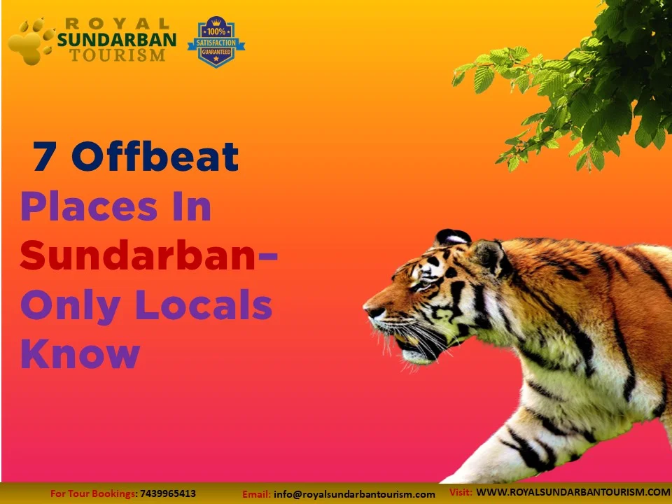 Offbeat Places In Sundarban