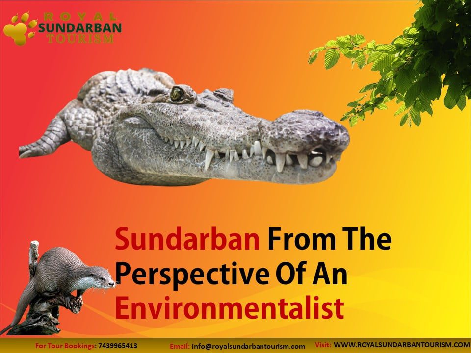 Sundarban From The Perspective Of An Environmentalist