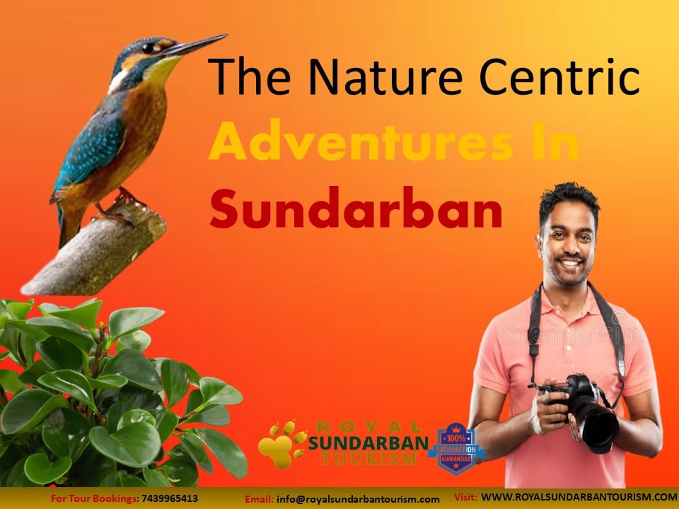 The Nature Centric Adventures In Sundarban